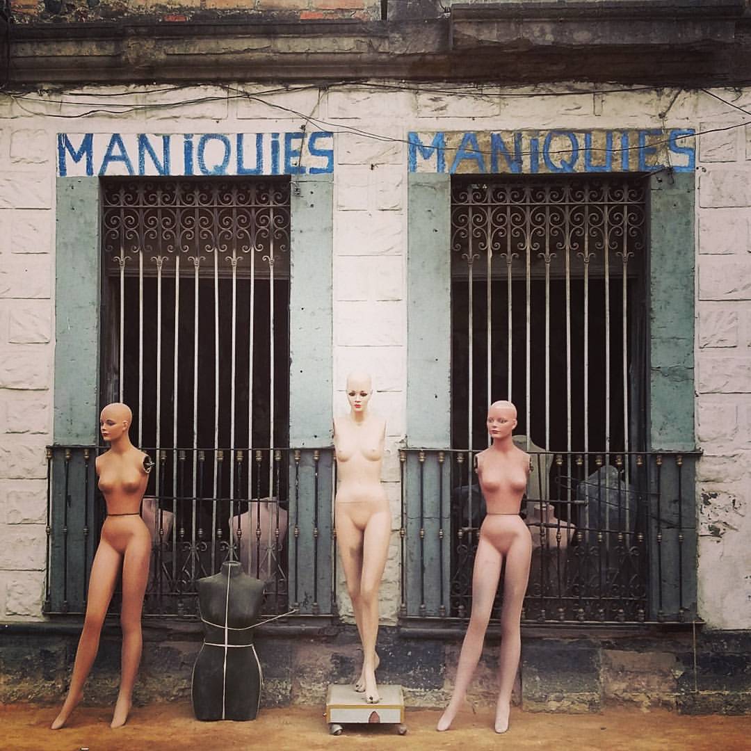 maniquies