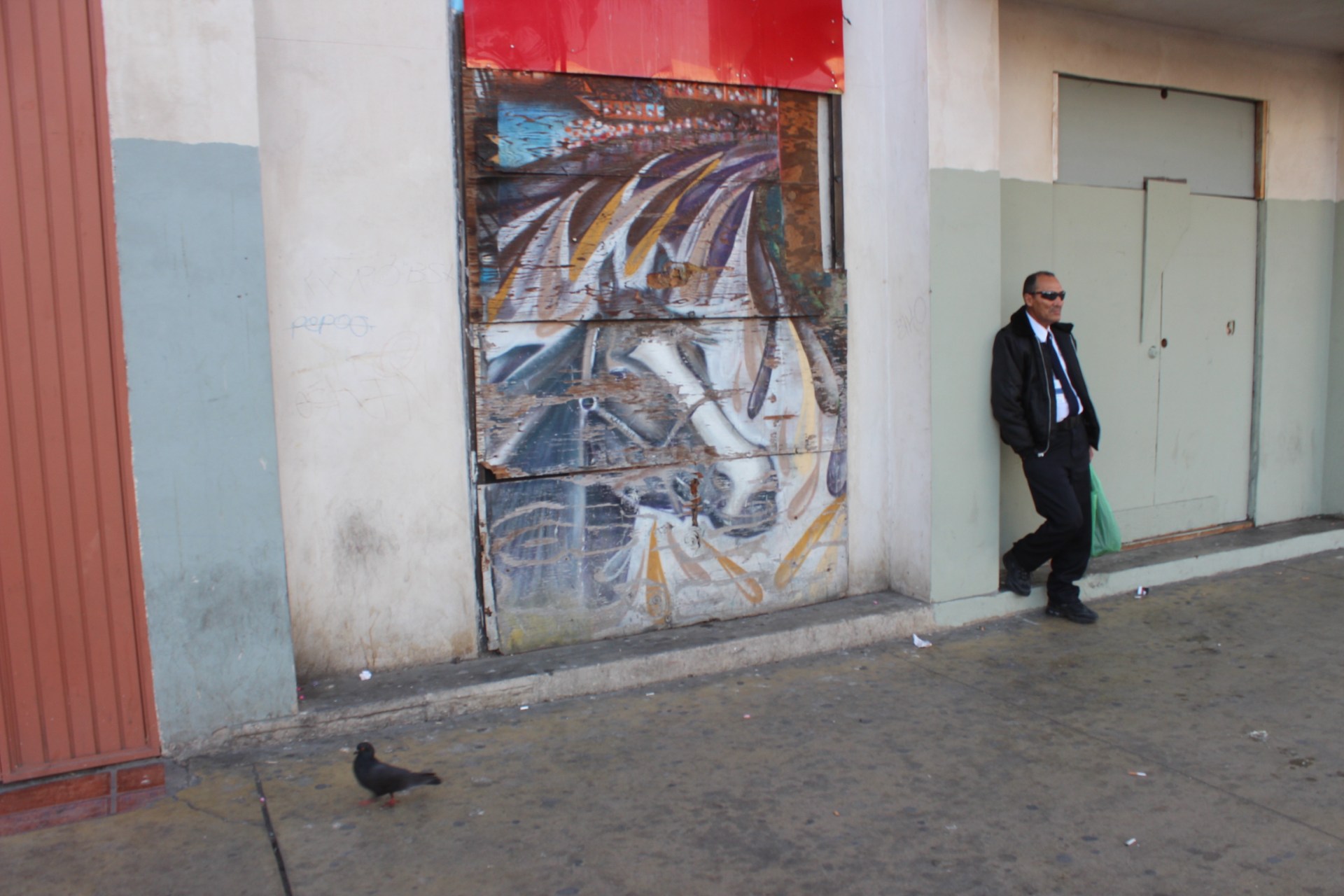 pigeon horse and man